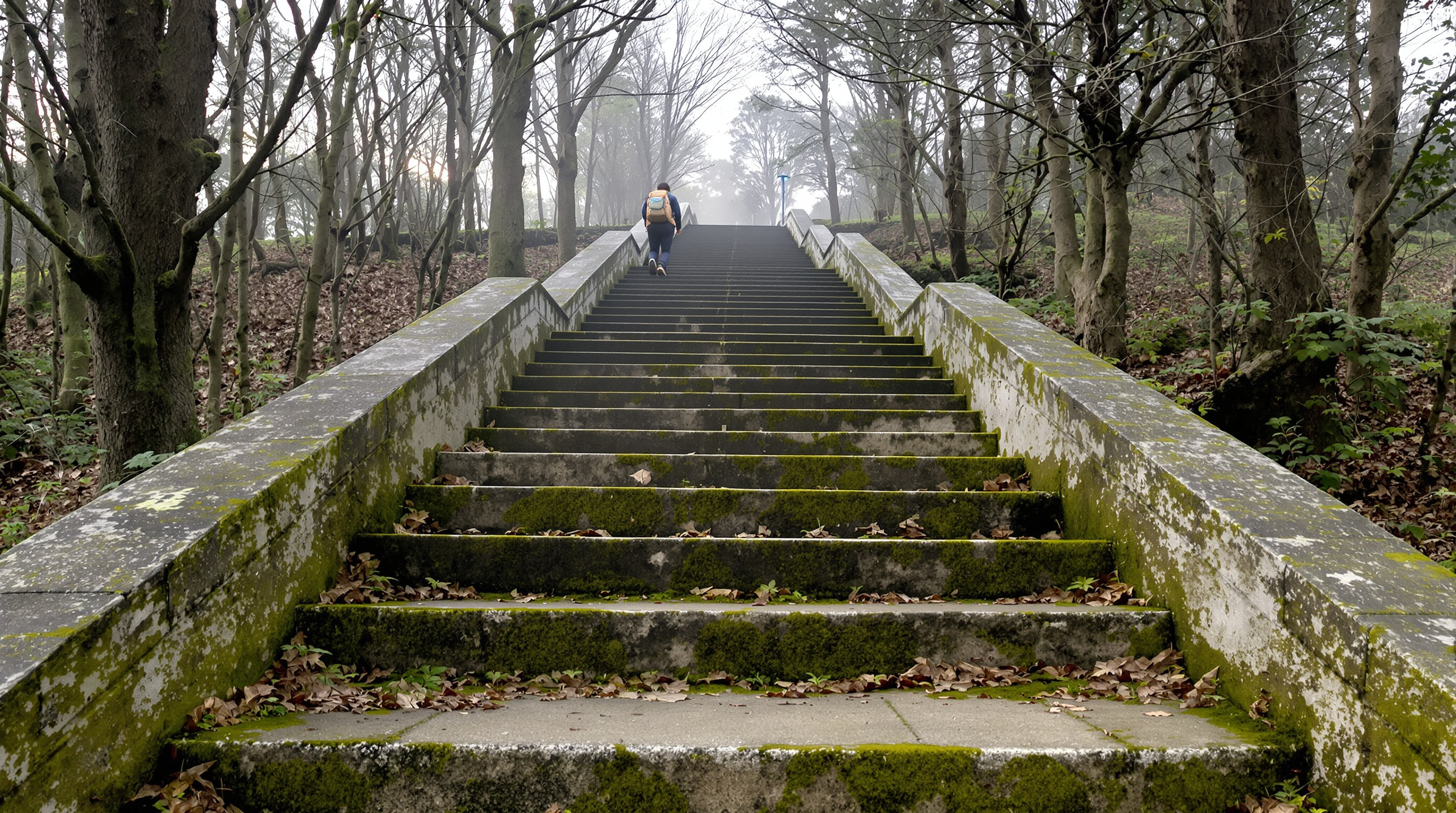 A long flight of moss-covered stone steps rising through a misty wooded park with a single distant figure climbing them