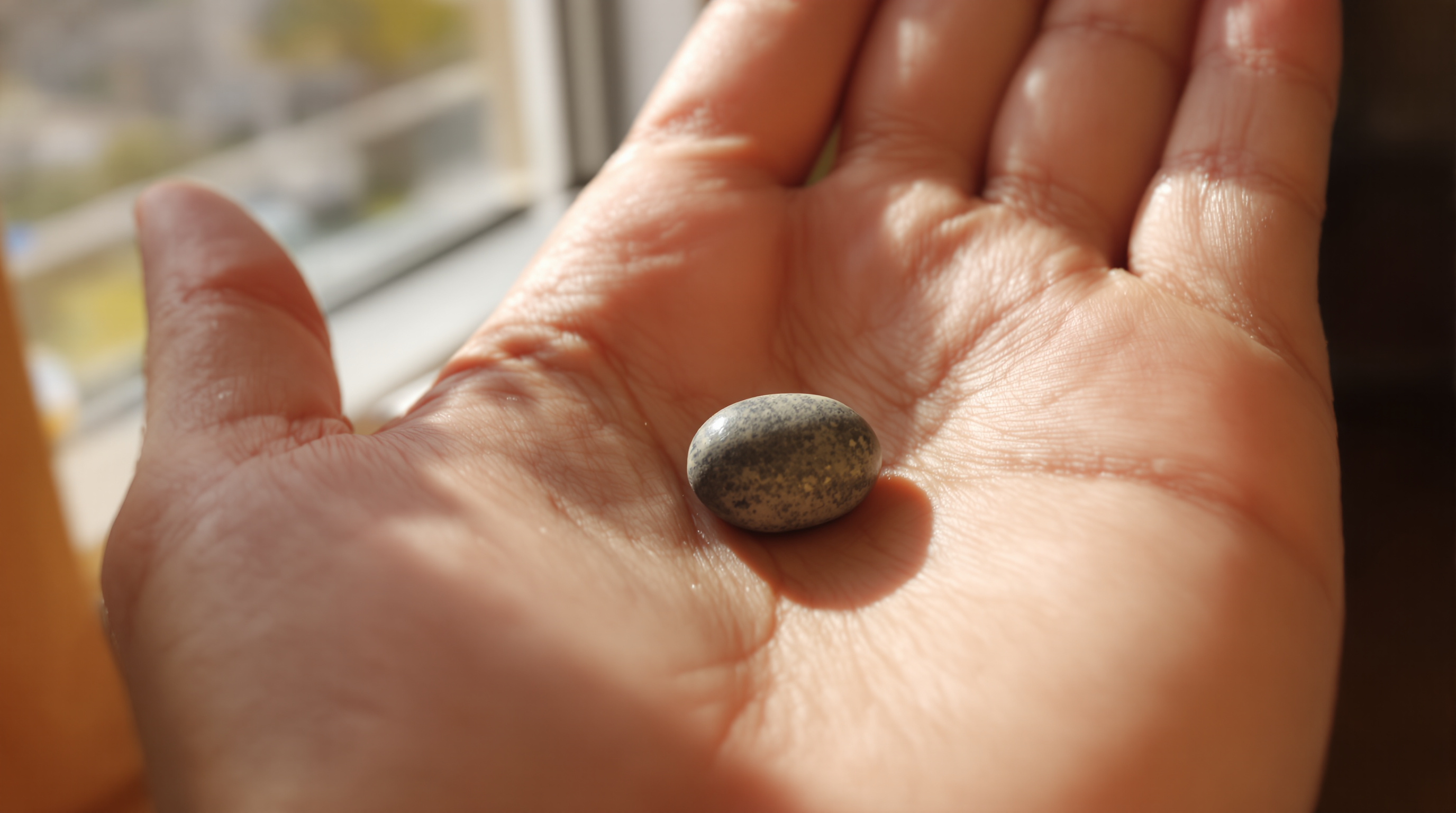 A single small speckled river pebble resting in the middle of an open palm, held in bright warm window light